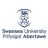 Swansea University logosu