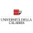 University of Calabria logosu