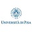 University of Pisa logosu